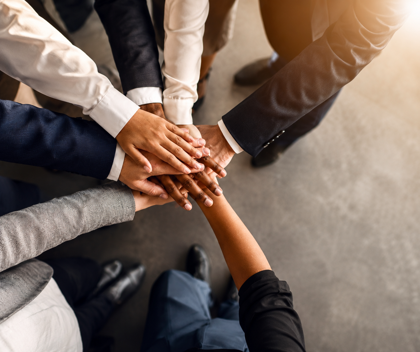 European business professionals collaborating on EU public procurement